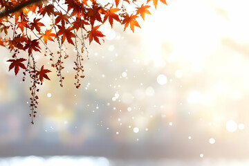 Obraz premium Autumn leaves on blurred background with bokeh.