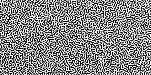 Black and white leopard pattern