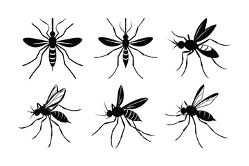 Mosquito (Culicidae) insect silhouette design, labeled linocut vector illustration.