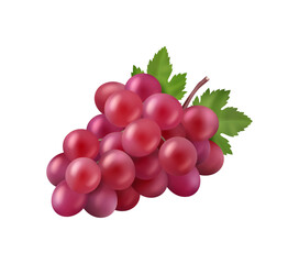 Bunch of grape berries with green leaves realistic vector illustration. Pink grapes healthy vegetarian food, organic winery product, exotic summer grape branch