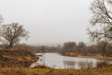 river in the fog