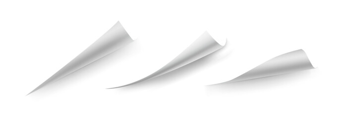 Curled corners of book leaf mockup. Vector a4 paper edges, curve pages endpoints and bent document angles with realistic shadow. Folded piece of blank sheet, rolled up or warped parchment or brochure