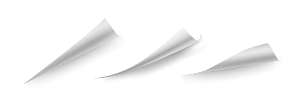 Curled corners of book leaf mockup. Vector a4 paper edges, curve pages endpoints and bent document angles with realistic shadow. Folded piece of blank sheet, rolled up or warped parchment or brochure