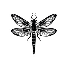 Dragonfly (Anisoptera) insect silhouette design, labeled linocut vector illustration.