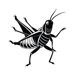 Grasshopper (Caelifera) insect silhouette design, labeled linocut vector illustration.