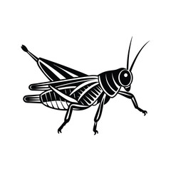 Grasshopper (Caelifera) insect silhouette design, labeled linocut vector illustration.