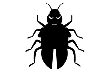 beetle isolated on white background