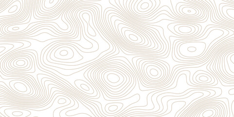 Abstract topographic map background. Topographic map lines contour background. 
