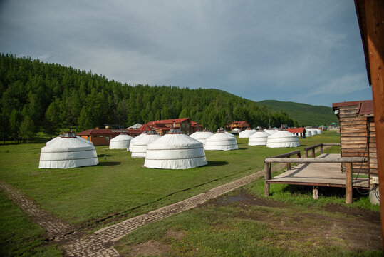 Traditional Mongolian ger surrounded by natural landscape, with a forest of pine trees in the background, showcasing Mongolia&rsquo;s nomadic lifestyle and peaceful wilderness.