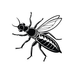 Termite (Isoptera) insect silhouette design, labeled linocut vector illustration.