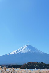 Fototapeta premium Mt Fuji