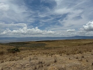 landscape with impressive dramatic clouds in the landscape of the ngorongoro crater tanzania safari, savannah steppe grass safari wildlife