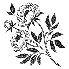Blooming peony flower silhouette vector illustration 