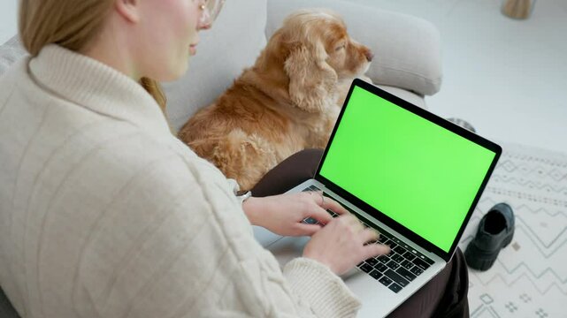 Young Woman Using Green Screen Laptop While Sitting at Home on Couch with Her Pet Dog English Cocker Spaniel. Close up Laptop with Green Mock-up Screen