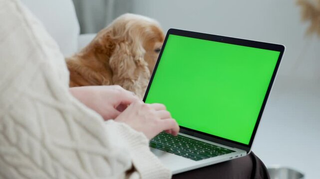 Young Woman Using Green Screen Laptop While Sitting at Home on Couch with Her Pet Dog English Cocker Spaniel. Close up Laptop with Green Mock-up Screen