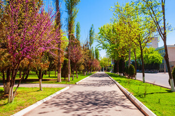 Amir Timur Avenue at spring, Tashkent