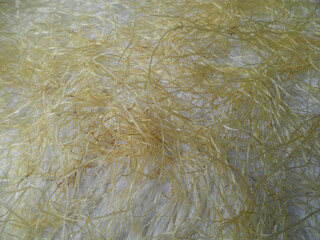 sweet corn hair as a background