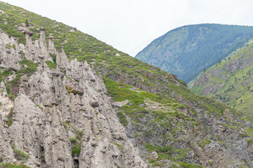 Stone mushrooms (or Akkurum tract) in Chulyshman river valley. Ulagan district, Altai republic, Russia.