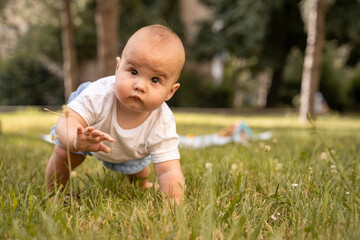 Adorable Baby crawling in the grass. Newborn discovering nature by going through the park. Outdoor...