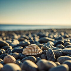 Fototapeta premium A quiet coastal landscape with smooth stones and scattered seashells, bathed in warm sunlight. 