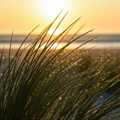 A soft-focus view of dew-covered sea grass against the backdrop of a bright, sunlit beach.
