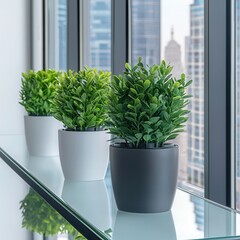 Fototapeta premium Modern indoor plants enhance the aesthetic of a sleek urban office environment.