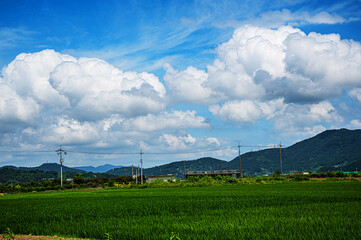 하늘 산 나무 들판