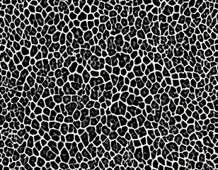 표범 패턴 질감