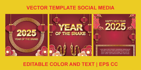 Year of the Snake 2025 social media template. Stunning Chinese New Year vector with dynamic layouts, traditional motifs, and vibrant tones, ideal for festive posts and promotions