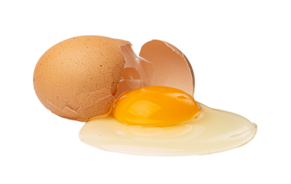 Broken Egg Isolated, Raw Yolk and White, Cracked Brown Shell, Fresh Broken Organic Chicken Eggs on White Background