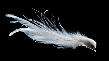 Flying white feathers png isolated on transparent background. Realistic vector illustration of abstract swirl of light fluffy plumage in air. Symbol of lightness, angels flight trail, hope and peace