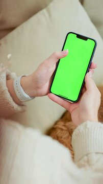 Young Woman Using Green Mock Up Screen Smartphone While Sitting With Her Pet Dog In Cozy Home Room. Vertical Video