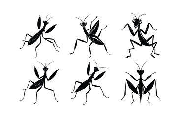 Praying Mantis (Mantodea) insect silhouette design, labeled linocut vector illustration.