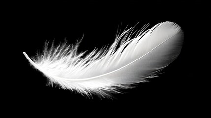 Obraz premium White fluffy feather with shadow vector realistic set isolated on transparent background. Feathers from wings of birds or angel, symbol of softness and purity, design element