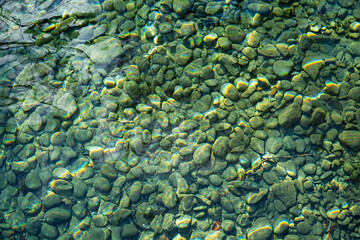 le fond du lac Léman, plein cadre