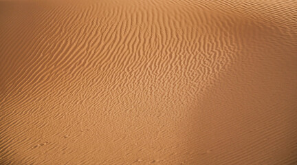 sand dune texture