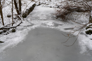 A frozen river or lake in a park or forest during winter.