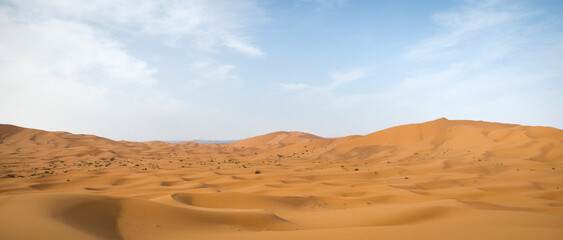 sand dunes in the desert