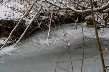 A frozen river or lake in the forest during winter, surrounded by snow and bare trees.