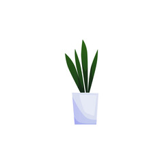 Vector illustration of a houseplant in a pot on an isolated background.