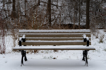 A symmetrically framed snow-covered bench in a minimalist winter park or forest.