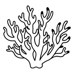 Coral Reef Line Art Design