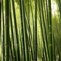 Fototapeta premium A dense grove of tall, slender bamboo stalks bathed in warm sunlight, creating a serene and tranquil scene.