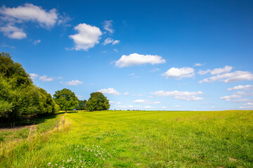 Paysage de campagne au milieu de la verdure des champs au printemps sous le soleil et le ciel bleu.