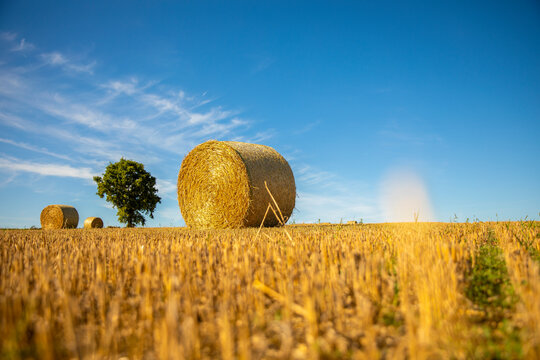 Moisson du bl&eacute; et meule de paille au milieu de la campagne en &eacute;t&eacute;.