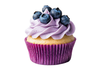 A beautifully decorated cupcake topped with purple frosting and fresh blueberries.