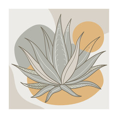 Hand drawn design botanical elements collection