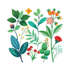 Hand drawn design botanical elements collection