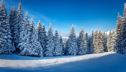 winter landscape with trees