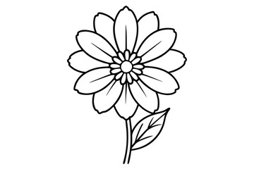 Fototapeta premium Coreopsis line art